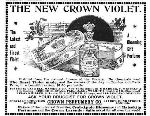 overland monthly violet vol xxvii no 157 1896