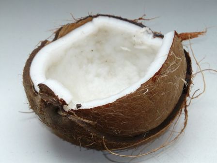 800px-Coconut-60395_-_Hans_Braxmeier
