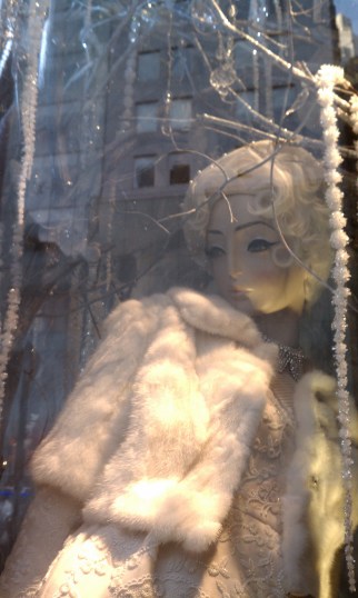 bg winter window
