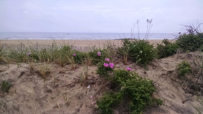 IMG_20150516_112236753