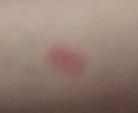 IMG_20150810_165930756 (1)